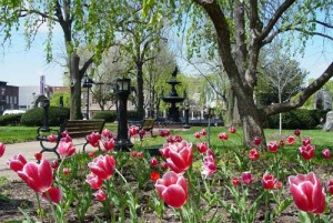 garden at Fountain Square in bowling green